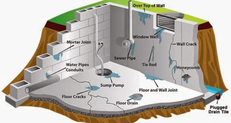 MOISTURE IN AND AROUND HOMES